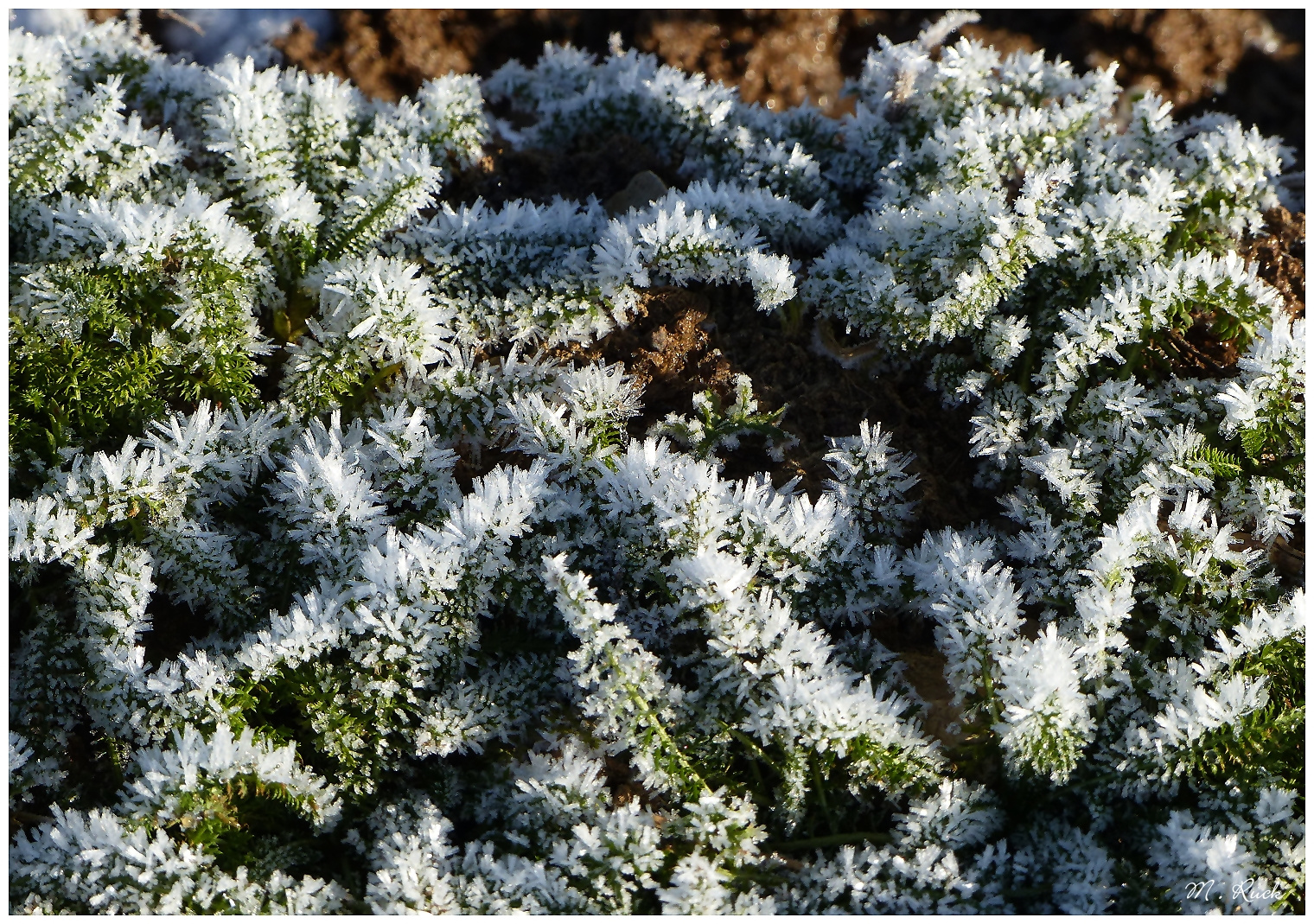 Die Welt der Eiskristalle  02