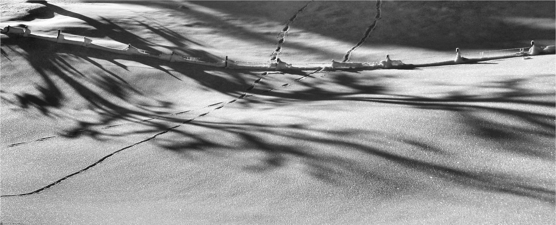 DIE WELT DER LANGEN SCHATTEN