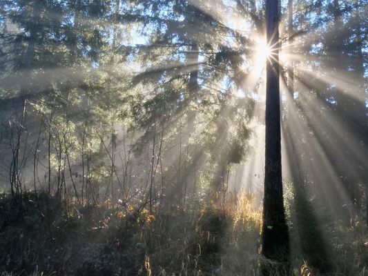 Die Welt der Sonnenstrahlen