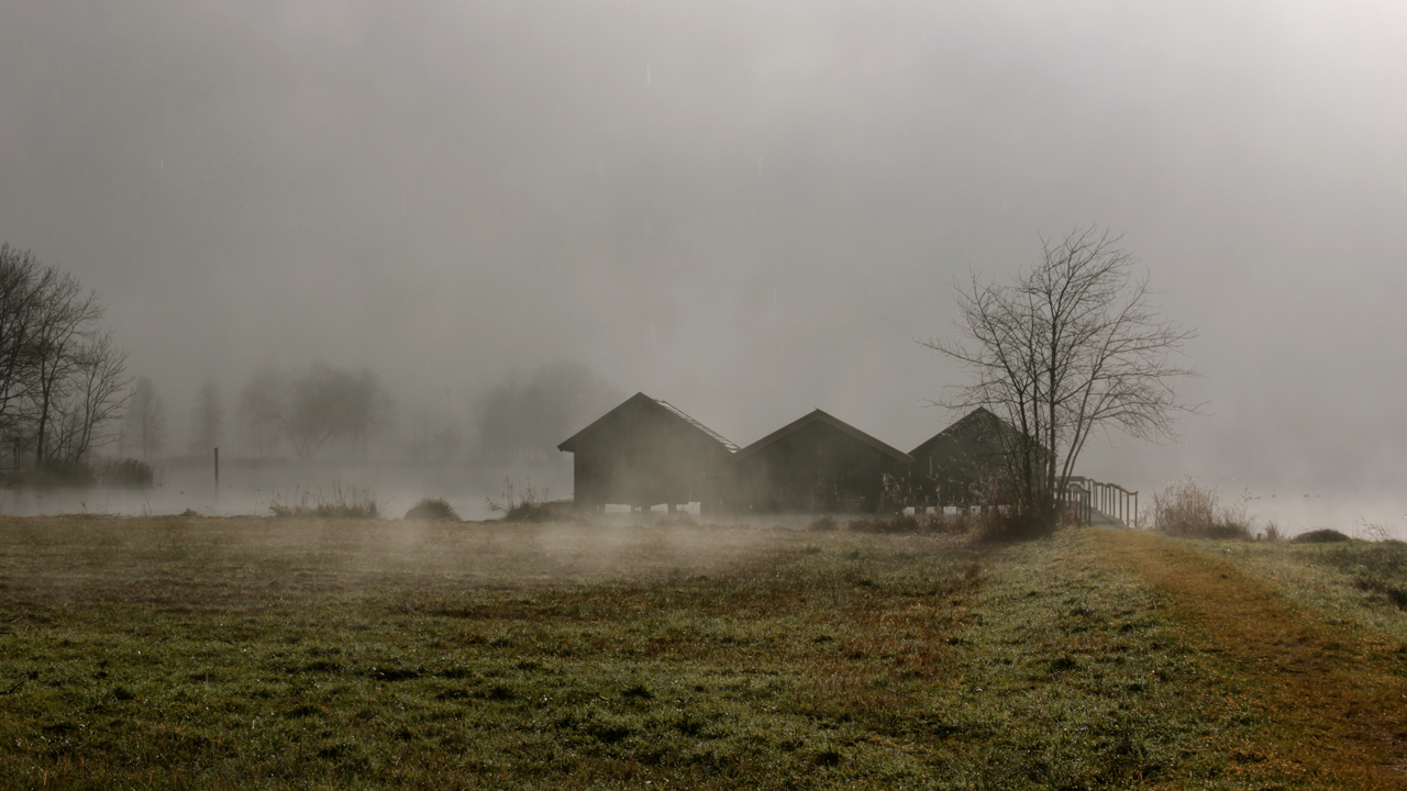 die Welt im Nebel 1