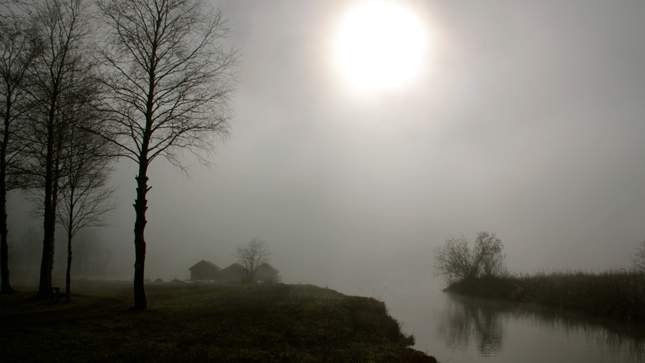 die Welt im Nebel 3