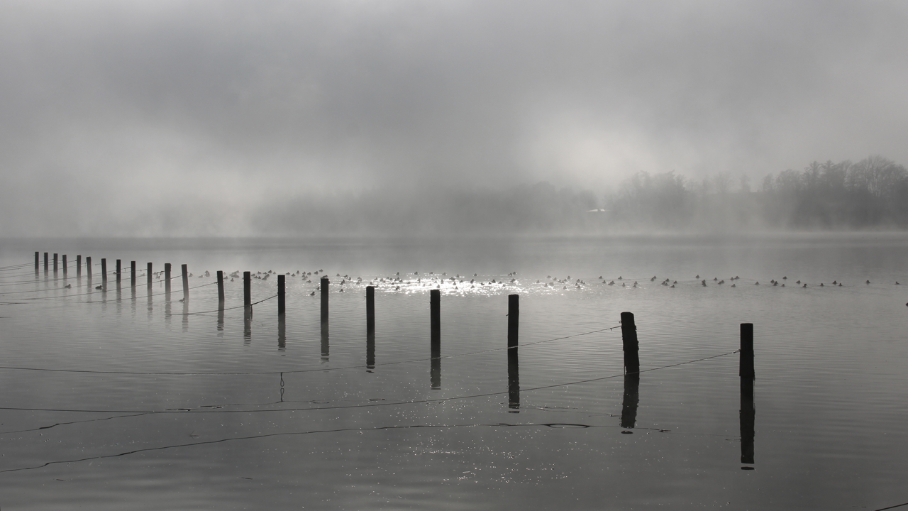 die Welt im Nebel 4