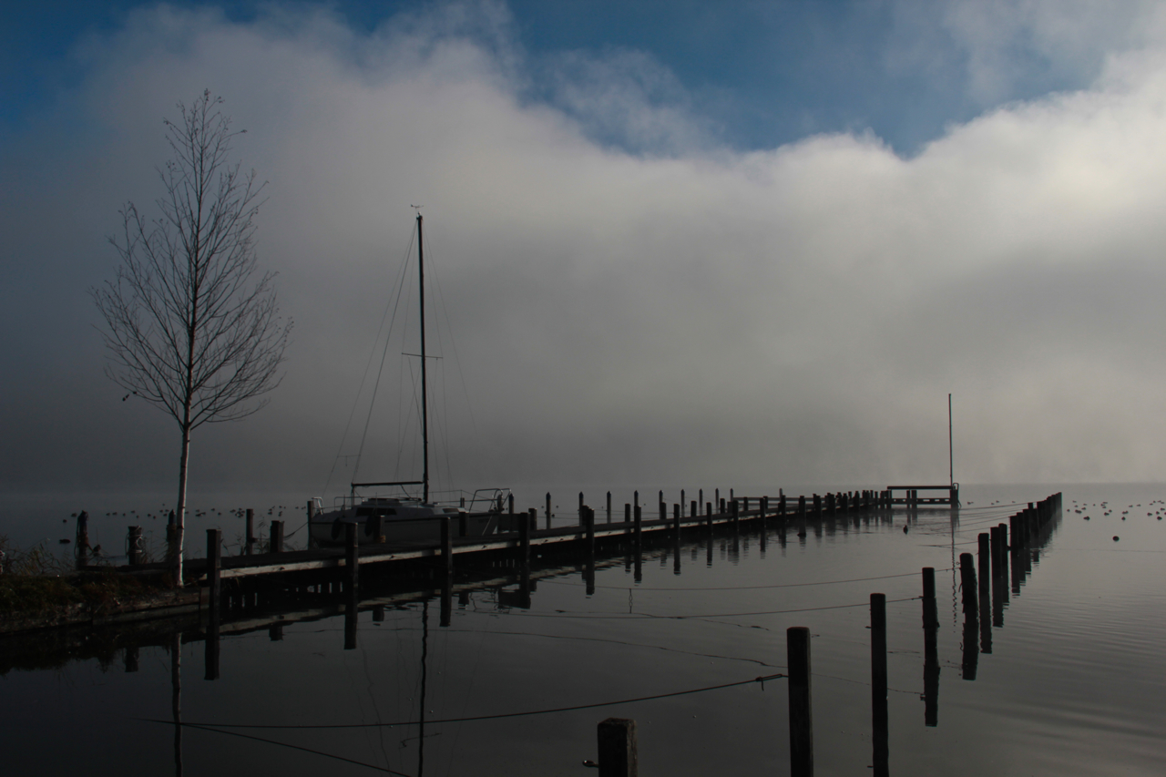 die Welt im Nebel 6