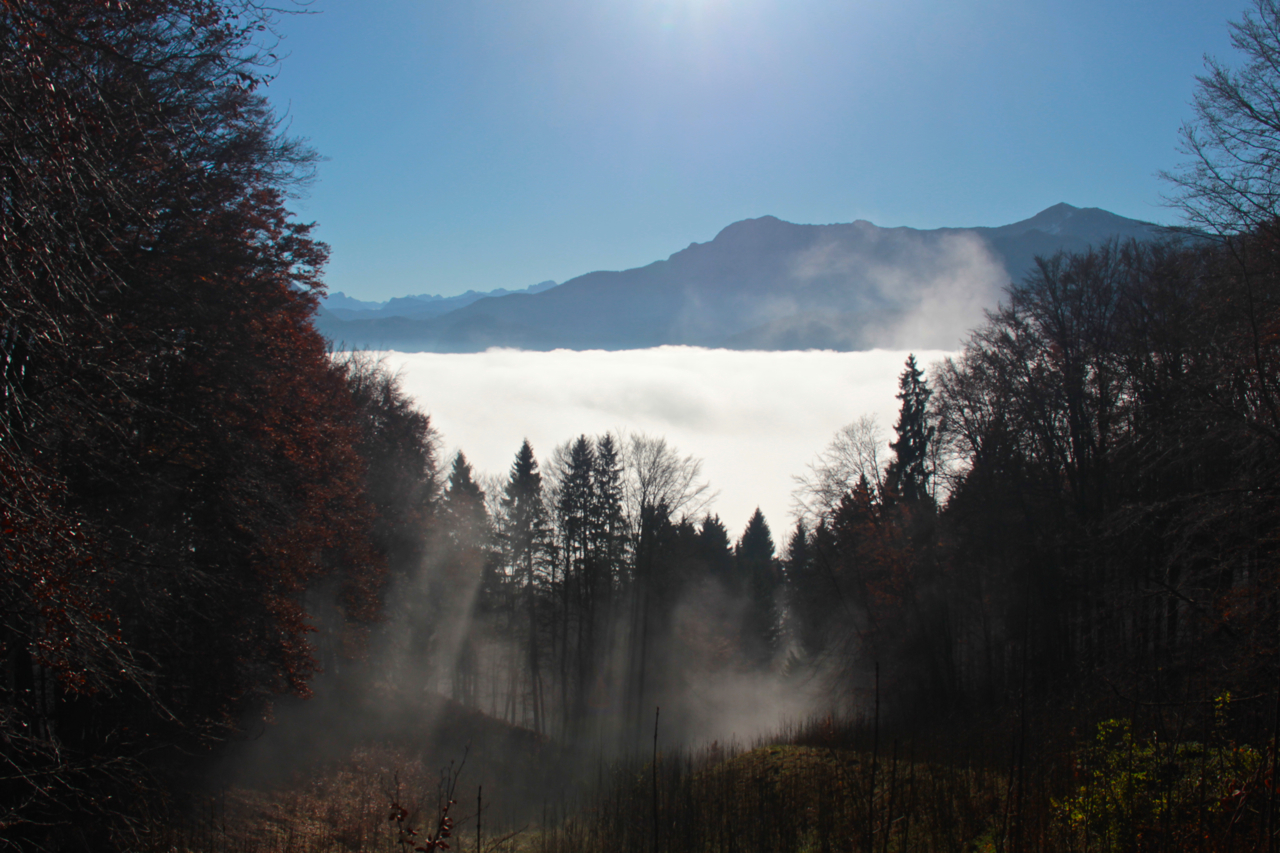 die Welt im Nebel 8