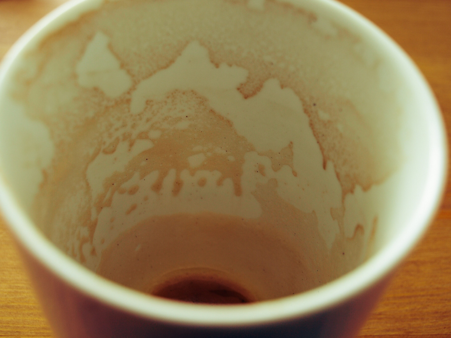 Die Welt in einer Tasse