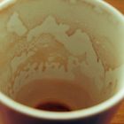 Die Welt in einer Tasse