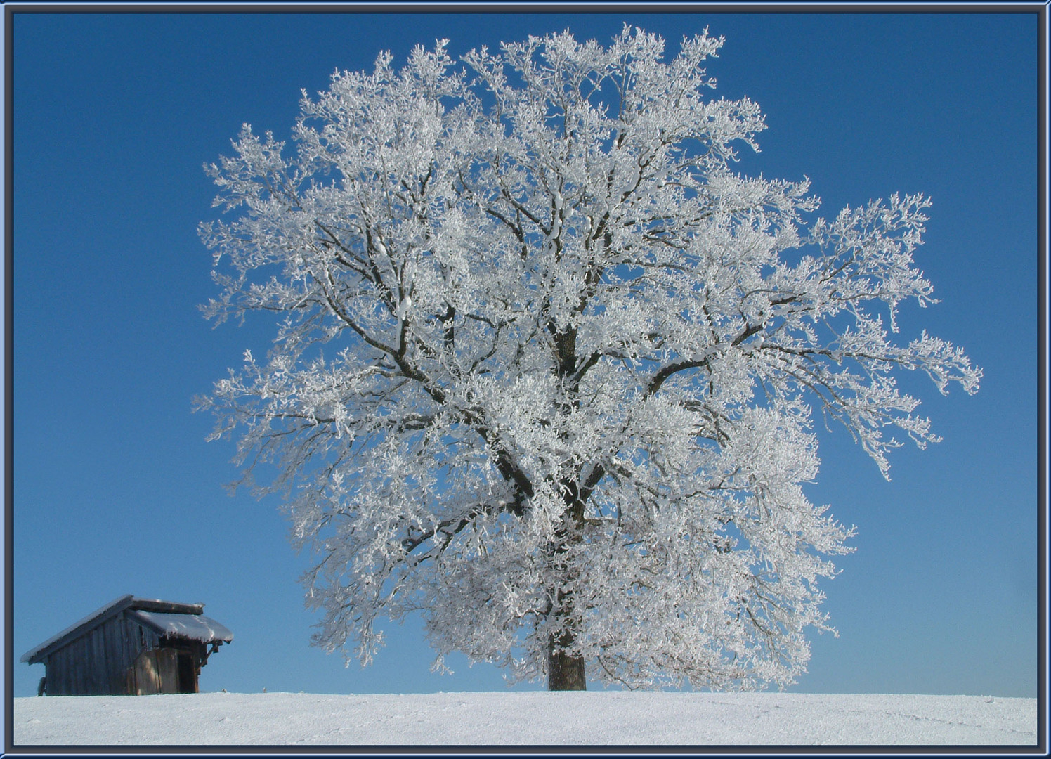 Die Welt ist ein Wunder