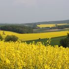 Die Welt ist gelb und grün.