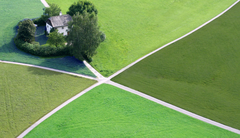 Die Welt ist GRÜN