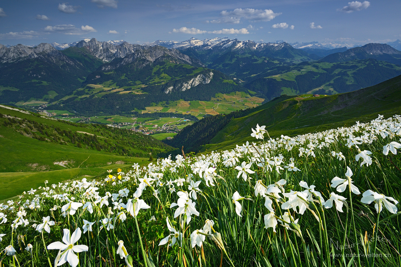 Die Welt ist schön Foto & Bild world, frühling, natur Bilder auf