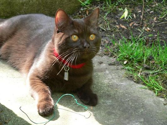 Die Welt ist so interessant