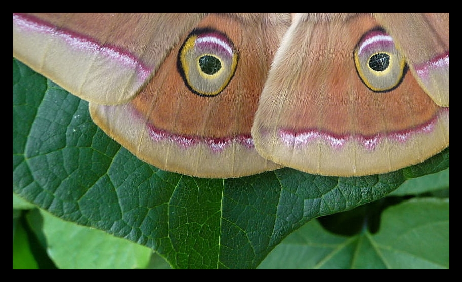 Die Welt mit anderen Augen sehen