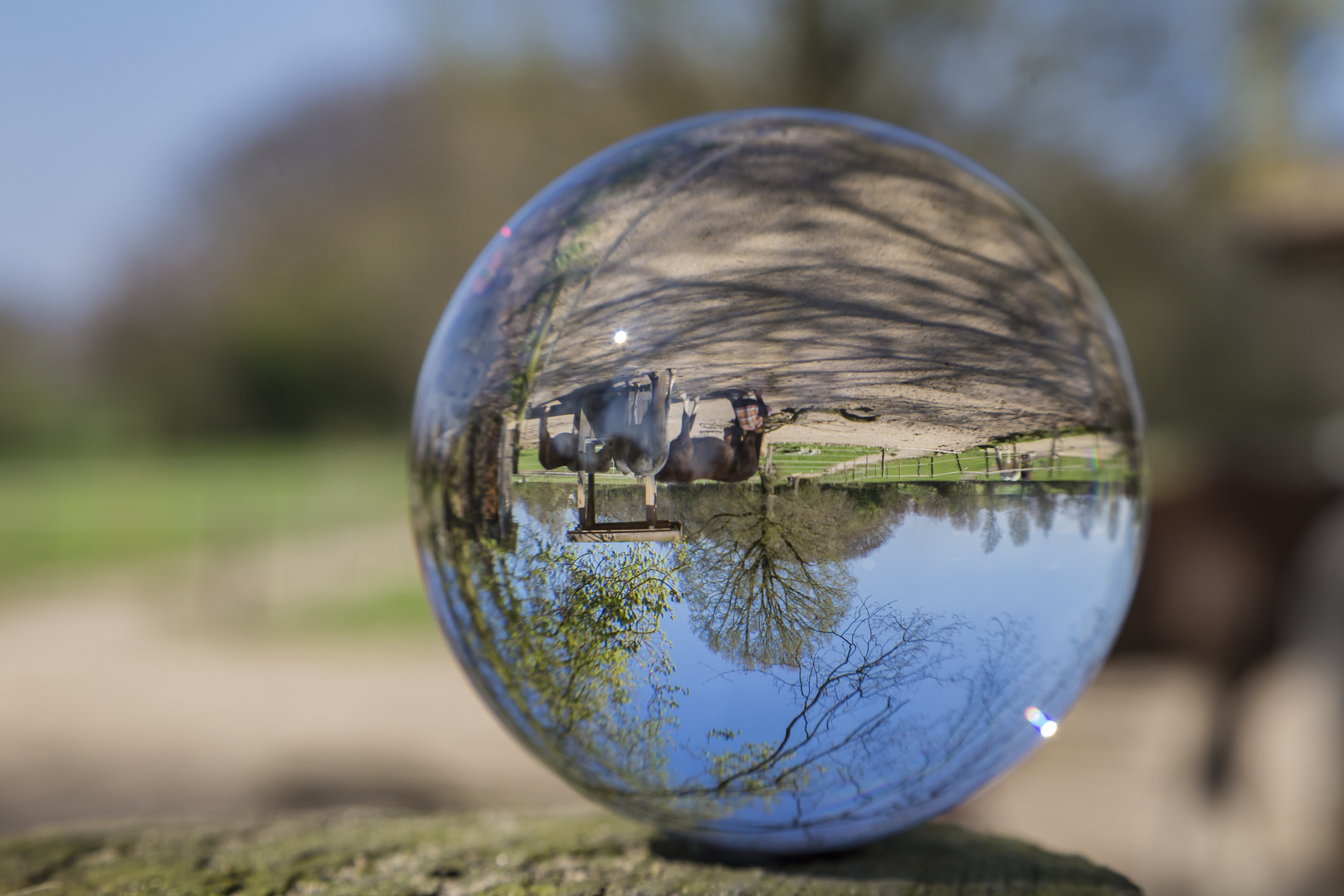 Die Welt steht Kopf Foto &