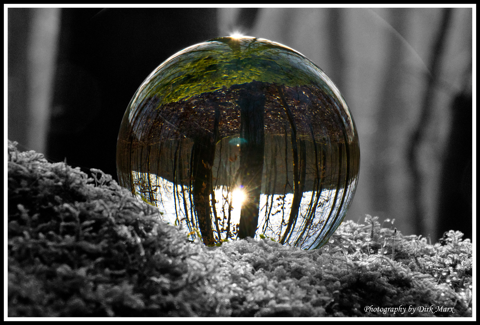 Die Welt steht Kopf 3 Foto