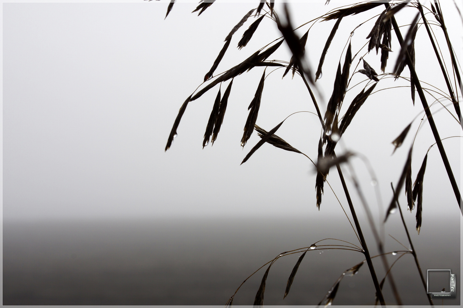 Die Welt versinkt im Nebel