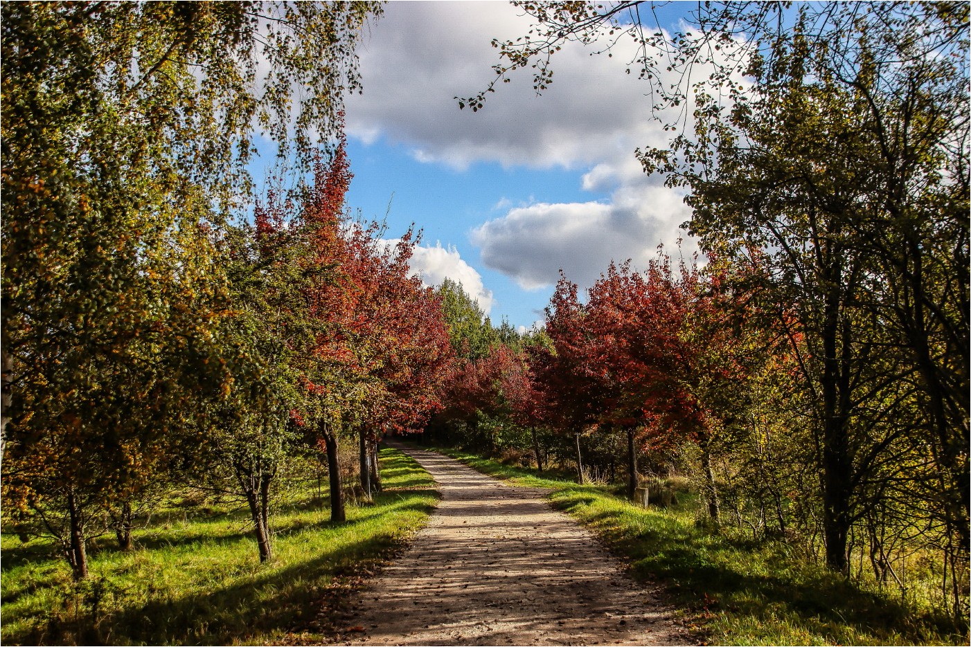 Die Welt wird bunt