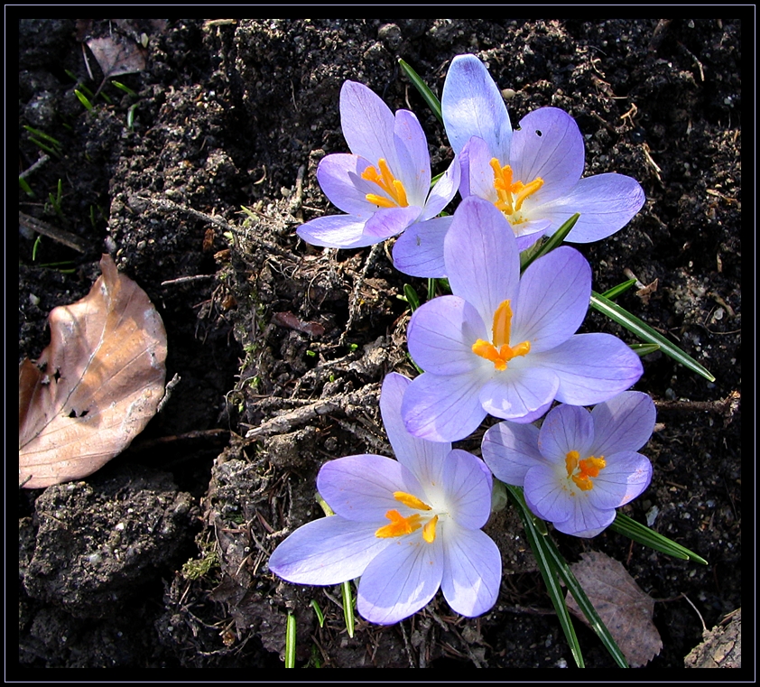 ...die Welt wird endlich wieder bunt.