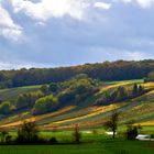 Die Wengert werden bunt