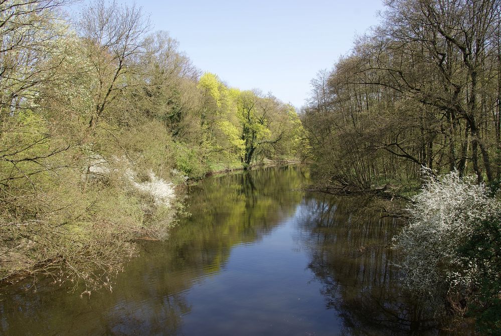 Die Werse bei Handorf