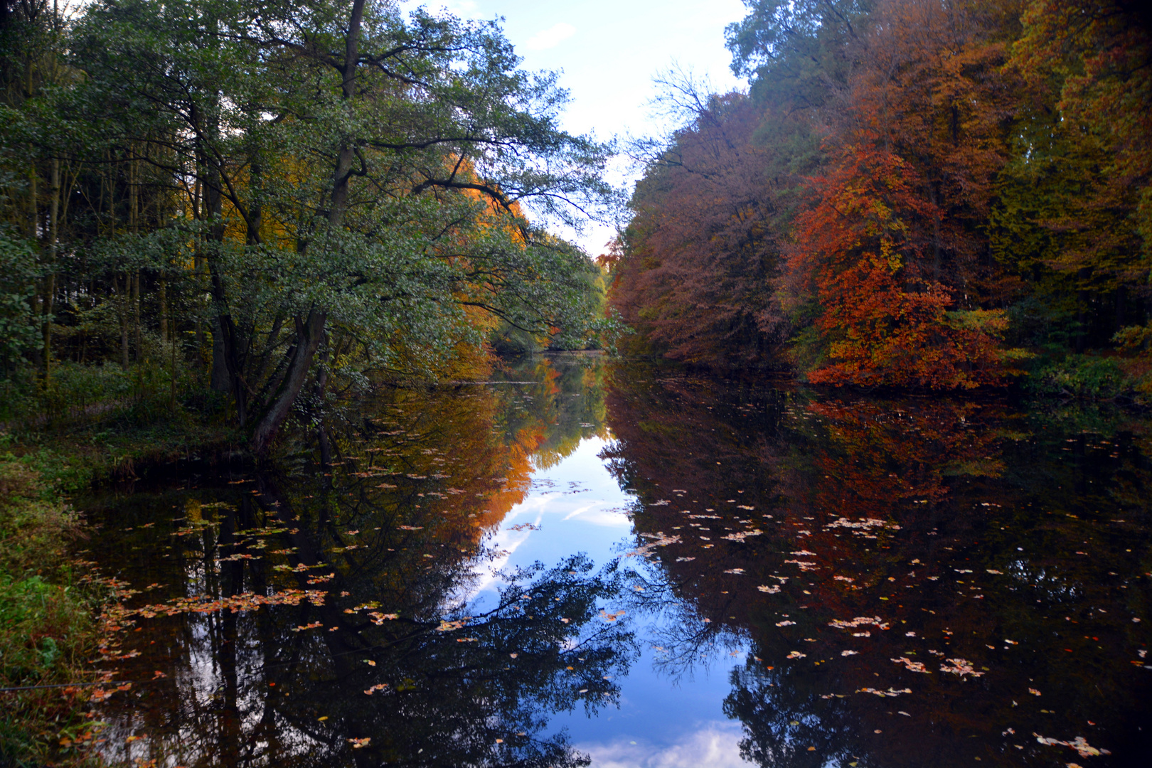 Die Werse im Herbst