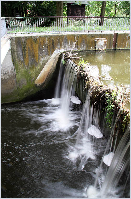 Die Werse - Wasserfall