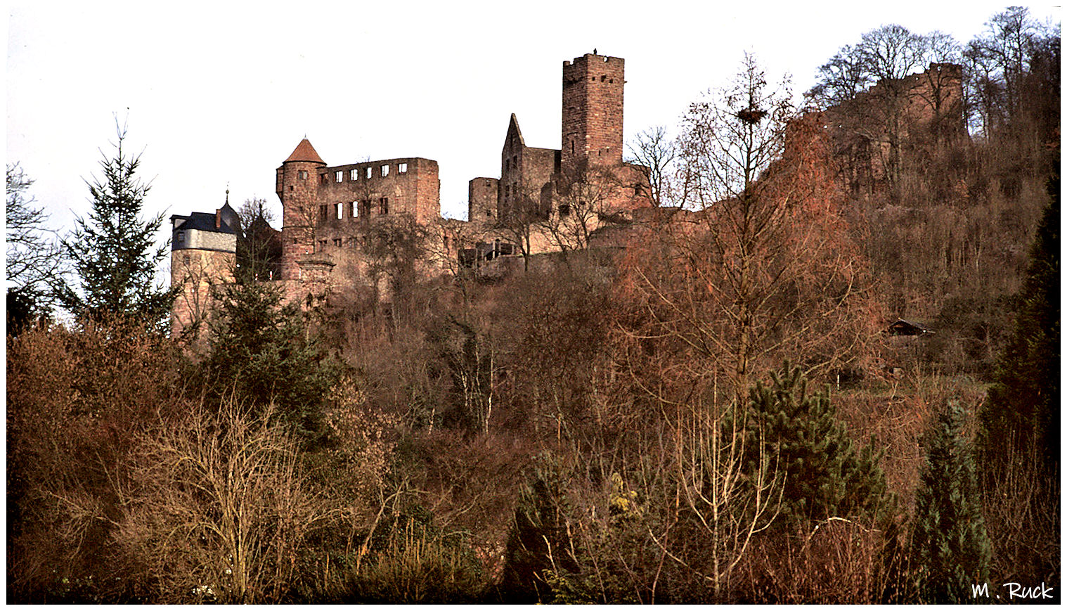 Die Wertheimer Burg ,