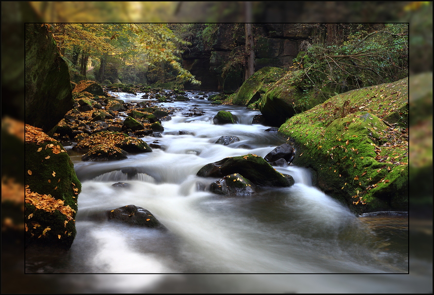 Die Wesenitz im Liebethaler Grund