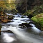 Die Wesenitz im Liebethaler Grund