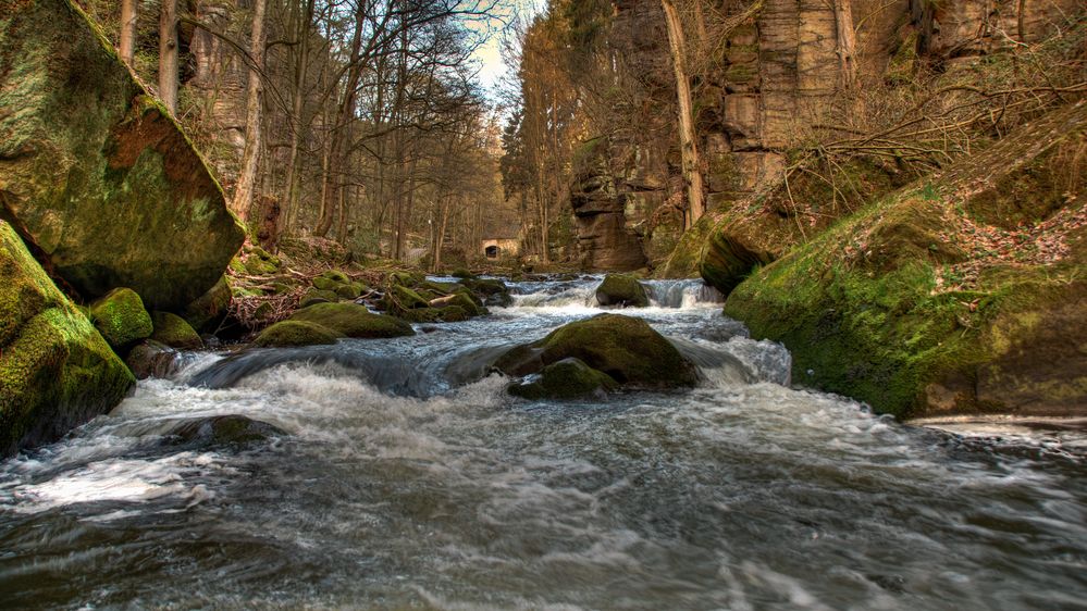 Die Wesenitz im Liebethaler Grund (SächsischeSchweiz)