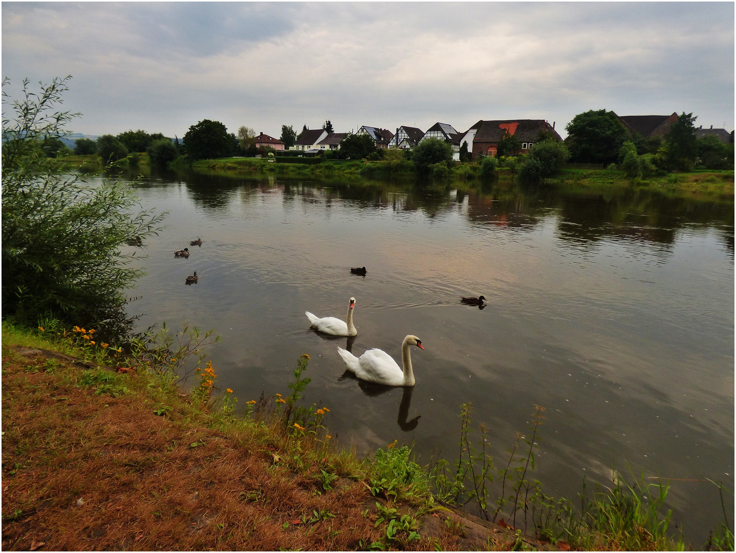 Die Weser bei Beverungen