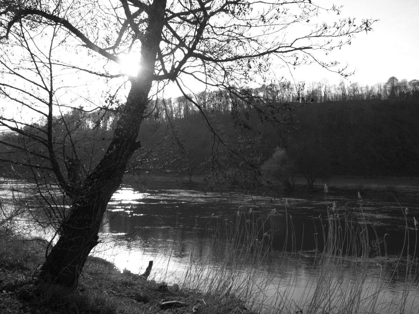 Die Weser bei Hameln