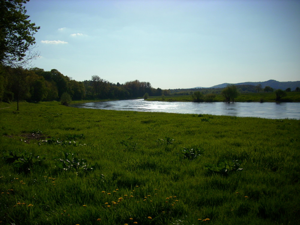 Die Weser bei Reileifzen