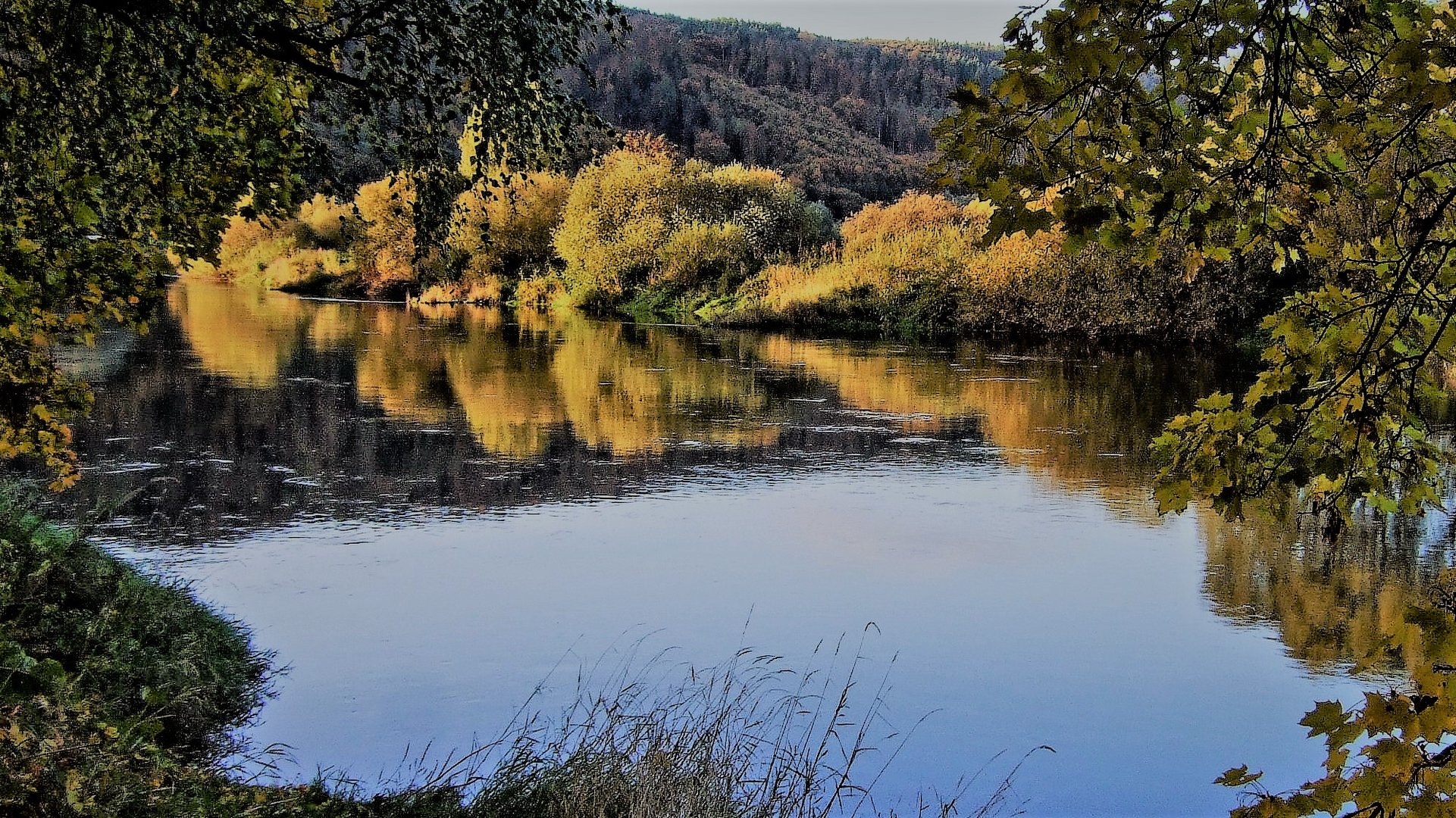 Die Weser Foto & Bild jahreszeiten, herbst, natur Bilder auf