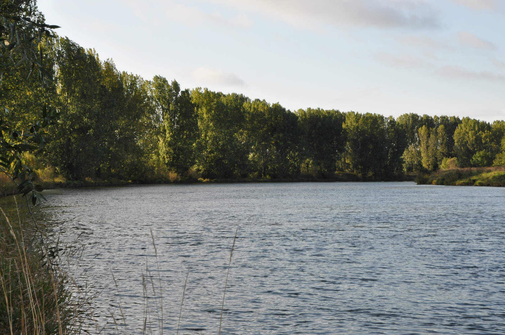 Die Weser in Nienburg