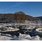 die Weser quitscht