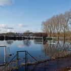 Die Wesermarsch bei Hochwasser