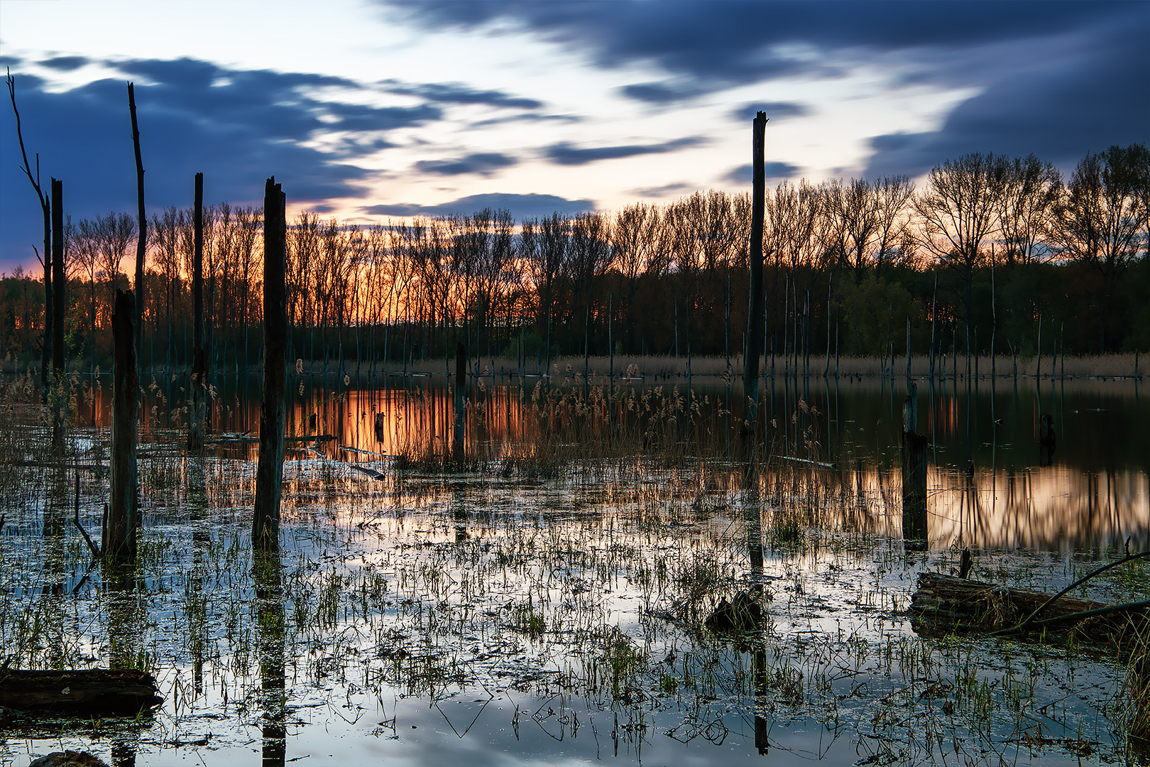 Die Westerwiese am Abend...