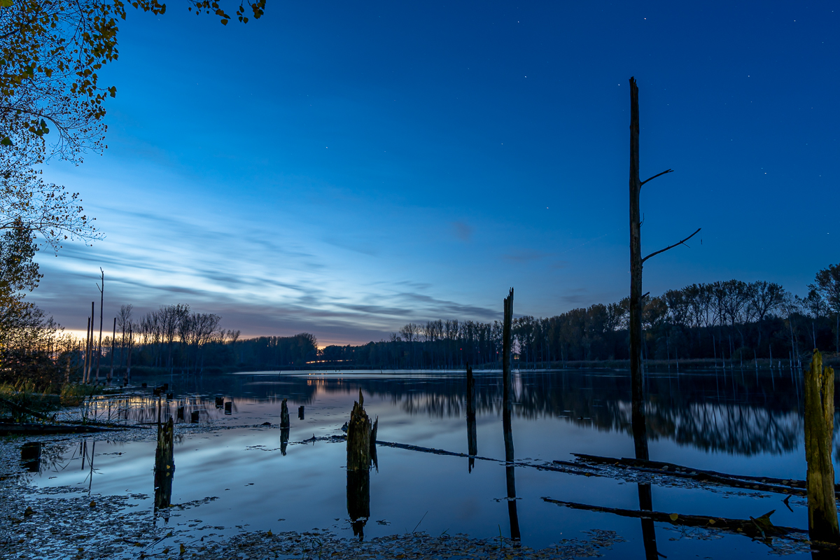 Die Westerwiese