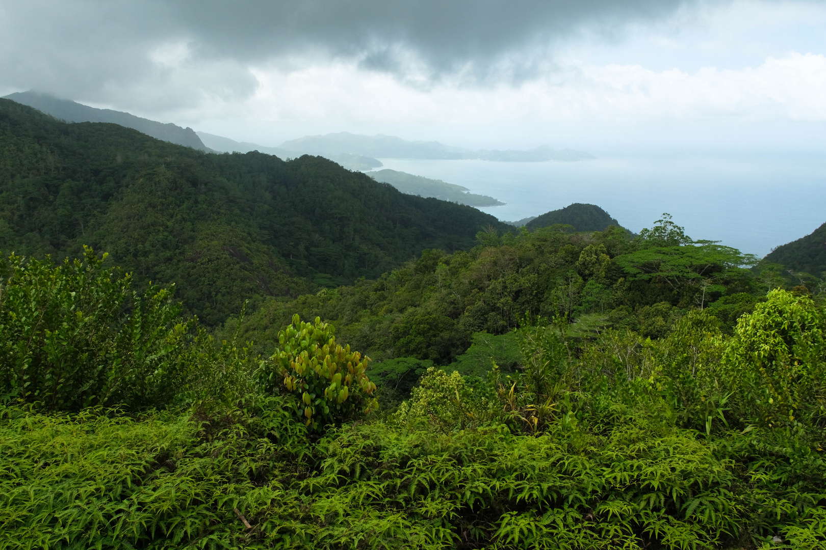 ...die Westhänge des Morne Seychelles National Park.....