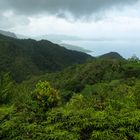 ...die Westhänge des Morne Seychelles National Park.....