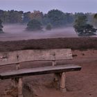 Die Westruper Heide im Morgennebel