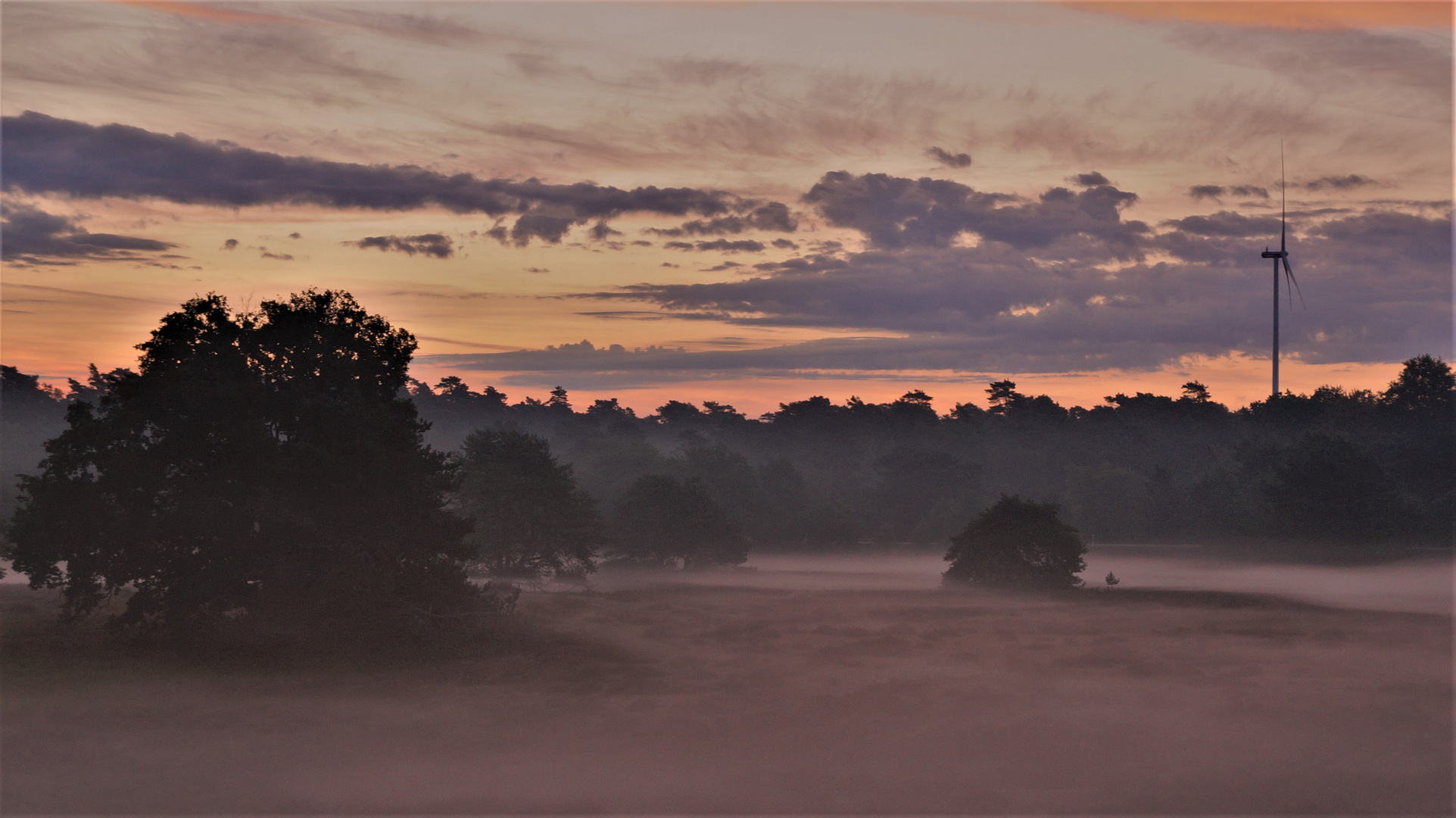 Die Westruper Heide im Morgennebel