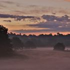 Die Westruper Heide im Morgennebel