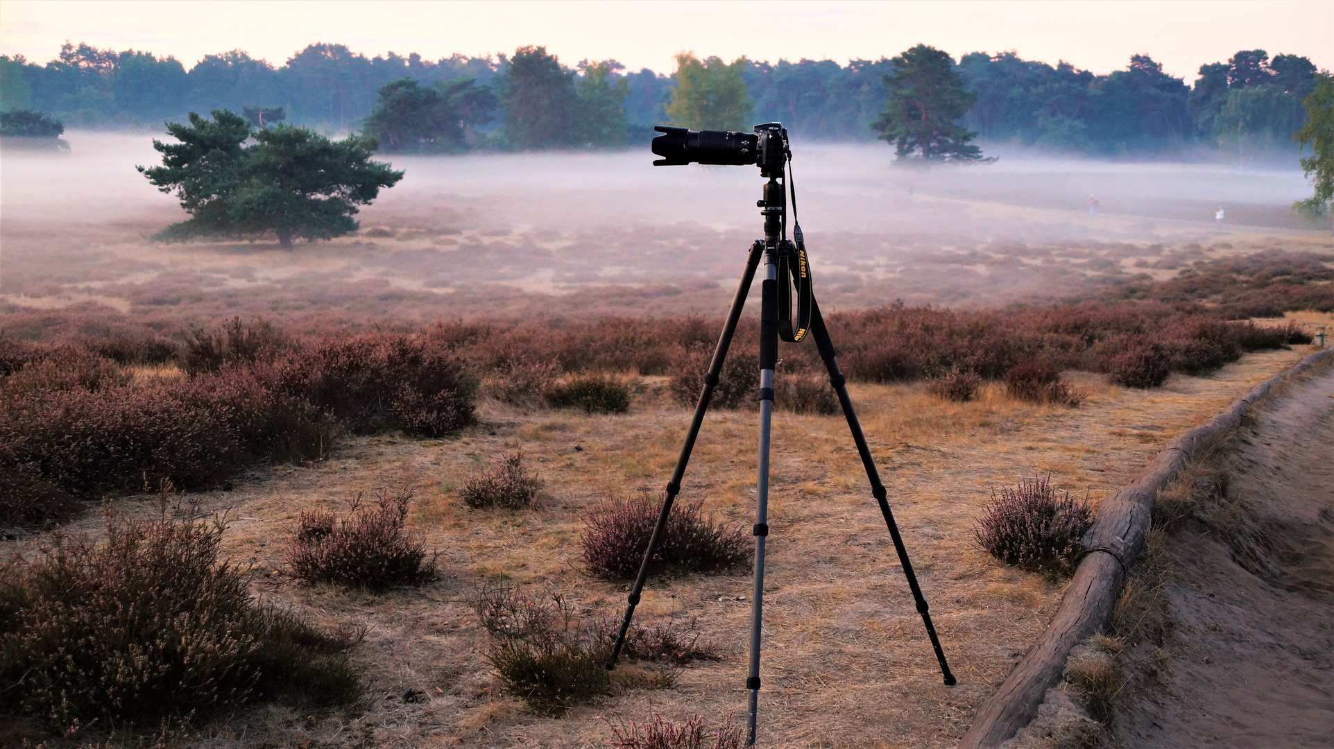 Die Westruper Heide im Morgennebel - Warten auf den Sonnenaufgang