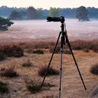 Die Westruper Heide im Morgennebel - Warten auf den Sonnenaufgang