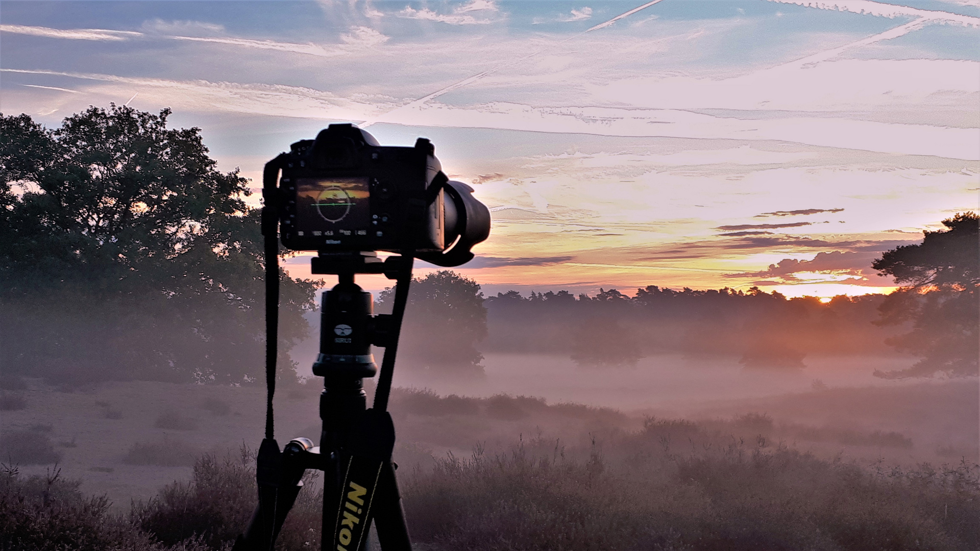 Die Westruper Heide im Morgennebel - Warten auf den Sonnenaufgang