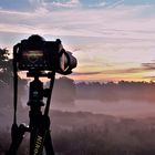 Die Westruper Heide im Morgennebel - Warten auf den Sonnenaufgang