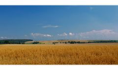 Die Wetterau