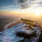 Die Wetterkiefer beim Sonnenaufgang