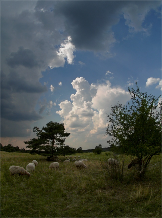 die wetterscheide über der heide...